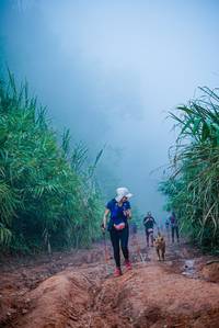 BIB: 
                            <button type="button" onclick="openModal(25051999)" class="btn btn-primary btn-sm float-right btn-popup" data-toggle="modal" data-target=".modal-high-quality">
                        <i class="fas fa-shopping-cart"></i> Add to Cart
                    </button>
                                            <button type="button" onclick="isThisMe(25051999, true)" class="btn btn-success btn-sm float-right btn-popup btn-isme hidden" data-toggle="tooltip" data-placement="bottom" title="นี่คือรูปของคุณใช่ไหม คลิกที่นี่เพื่อเอาเข้าอัลบั้ม">
                        <i class="fas fa-plus"></i> Add to album
                    </button>
                    <button type="button" onclick="isThisMe(25051999, false)" class="btn btn-warning btn-sm float-right btn-popup btn-isnotme hidden">
                        <i class="fas fa-ban"></i> Remove from album
                    </button>