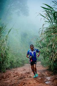 BIB: 
                            <button type="button" onclick="openModal(25051449)" class="btn btn-primary btn-sm float-right btn-popup" data-toggle="modal" data-target=".modal-high-quality">
                        <i class="fas fa-shopping-cart"></i> Add to Cart
                    </button>
                                            <button type="button" onclick="isThisMe(25051449, true)" class="btn btn-success btn-sm float-right btn-popup btn-isme hidden" data-toggle="tooltip" data-placement="bottom" title="นี่คือรูปของคุณใช่ไหม คลิกที่นี่เพื่อเอาเข้าอัลบั้ม">
                        <i class="fas fa-plus"></i> Add to album
                    </button>
                    <button type="button" onclick="isThisMe(25051449, false)" class="btn btn-warning btn-sm float-right btn-popup btn-isnotme hidden">
                        <i class="fas fa-ban"></i> Remove from album
                    </button>