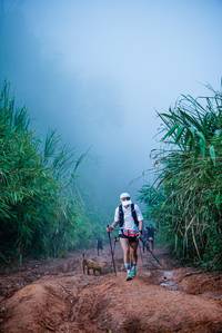 BIB: 
                            <button type="button" onclick="openModal(25051991)" class="btn btn-primary btn-sm float-right btn-popup" data-toggle="modal" data-target=".modal-high-quality">
                        <i class="fas fa-shopping-cart"></i> Add to Cart
                    </button>
                                            <button type="button" onclick="isThisMe(25051991, true)" class="btn btn-success btn-sm float-right btn-popup btn-isme hidden" data-toggle="tooltip" data-placement="bottom" title="นี่คือรูปของคุณใช่ไหม คลิกที่นี่เพื่อเอาเข้าอัลบั้ม">
                        <i class="fas fa-plus"></i> Add to album
                    </button>
                    <button type="button" onclick="isThisMe(25051991, false)" class="btn btn-warning btn-sm float-right btn-popup btn-isnotme hidden">
                        <i class="fas fa-ban"></i> Remove from album
                    </button>