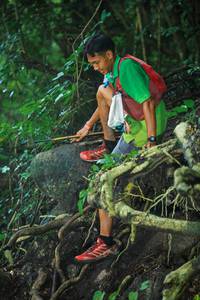 BIB: 
                            <button type="button" onclick="openModal(25172377)" class="btn btn-primary btn-sm float-right btn-popup" data-toggle="modal" data-target=".modal-high-quality">
                        <i class="fas fa-shopping-cart"></i> Add to Cart
                    </button>
                                            <button type="button" onclick="isThisMe(25172377, true)" class="btn btn-success btn-sm float-right btn-popup btn-isme hidden" data-toggle="tooltip" data-placement="bottom" title="นี่คือรูปของคุณใช่ไหม คลิกที่นี่เพื่อเอาเข้าอัลบั้ม">
                        <i class="fas fa-plus"></i> Add to album
                    </button>
                    <button type="button" onclick="isThisMe(25172377, false)" class="btn btn-warning btn-sm float-right btn-popup btn-isnotme hidden">
                        <i class="fas fa-ban"></i> Remove from album
                    </button>