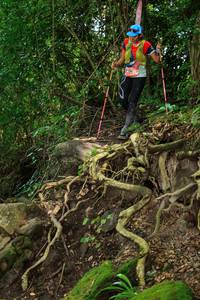 BIB: 
                            <button type="button" onclick="openModal(25175909)" class="btn btn-primary btn-sm float-right btn-popup" data-toggle="modal" data-target=".modal-high-quality">
                        <i class="fas fa-shopping-cart"></i> Add to Cart
                    </button>
                                            <button type="button" onclick="isThisMe(25175909, true)" class="btn btn-success btn-sm float-right btn-popup btn-isme hidden" data-toggle="tooltip" data-placement="bottom" title="นี่คือรูปของคุณใช่ไหม คลิกที่นี่เพื่อเอาเข้าอัลบั้ม">
                        <i class="fas fa-plus"></i> Add to album
                    </button>
                    <button type="button" onclick="isThisMe(25175909, false)" class="btn btn-warning btn-sm float-right btn-popup btn-isnotme hidden">
                        <i class="fas fa-ban"></i> Remove from album
                    </button>