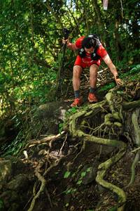 BIB: 
                            <button type="button" onclick="openModal(25174156)" class="btn btn-primary btn-sm float-right btn-popup" data-toggle="modal" data-target=".modal-high-quality">
                        <i class="fas fa-shopping-cart"></i> Add to Cart
                    </button>
                                            <button type="button" onclick="isThisMe(25174156, true)" class="btn btn-success btn-sm float-right btn-popup btn-isme hidden" data-toggle="tooltip" data-placement="bottom" title="นี่คือรูปของคุณใช่ไหม คลิกที่นี่เพื่อเอาเข้าอัลบั้ม">
                        <i class="fas fa-plus"></i> Add to album
                    </button>
                    <button type="button" onclick="isThisMe(25174156, false)" class="btn btn-warning btn-sm float-right btn-popup btn-isnotme hidden">
                        <i class="fas fa-ban"></i> Remove from album
                    </button>