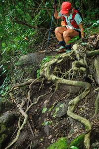 BIB: 
                            <button type="button" onclick="openModal(25175296)" class="btn btn-primary btn-sm float-right btn-popup" data-toggle="modal" data-target=".modal-high-quality">
                        <i class="fas fa-shopping-cart"></i> Add to Cart
                    </button>
                                            <button type="button" onclick="isThisMe(25175296, true)" class="btn btn-success btn-sm float-right btn-popup btn-isme hidden" data-toggle="tooltip" data-placement="bottom" title="นี่คือรูปของคุณใช่ไหม คลิกที่นี่เพื่อเอาเข้าอัลบั้ม">
                        <i class="fas fa-plus"></i> Add to album
                    </button>
                    <button type="button" onclick="isThisMe(25175296, false)" class="btn btn-warning btn-sm float-right btn-popup btn-isnotme hidden">
                        <i class="fas fa-ban"></i> Remove from album
                    </button>