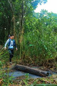 BIB: 
                            <button type="button" onclick="openModal(25150153)" class="btn btn-primary btn-sm float-right btn-popup" data-toggle="modal" data-target=".modal-high-quality">
                        <i class="fas fa-shopping-cart"></i> Add to Cart
                    </button>
                                            <button type="button" onclick="isThisMe(25150153, true)" class="btn btn-success btn-sm float-right btn-popup btn-isme hidden" data-toggle="tooltip" data-placement="bottom" title="นี่คือรูปของคุณใช่ไหม คลิกที่นี่เพื่อเอาเข้าอัลบั้ม">
                        <i class="fas fa-plus"></i> Add to album
                    </button>
                    <button type="button" onclick="isThisMe(25150153, false)" class="btn btn-warning btn-sm float-right btn-popup btn-isnotme hidden">
                        <i class="fas fa-ban"></i> Remove from album
                    </button>