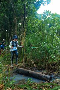 BIB: 
                            <button type="button" onclick="openModal(25152141)" class="btn btn-primary btn-sm float-right btn-popup" data-toggle="modal" data-target=".modal-high-quality">
                        <i class="fas fa-shopping-cart"></i> Add to Cart
                    </button>
                                            <button type="button" onclick="isThisMe(25152141, true)" class="btn btn-success btn-sm float-right btn-popup btn-isme hidden" data-toggle="tooltip" data-placement="bottom" title="นี่คือรูปของคุณใช่ไหม คลิกที่นี่เพื่อเอาเข้าอัลบั้ม">
                        <i class="fas fa-plus"></i> Add to album
                    </button>
                    <button type="button" onclick="isThisMe(25152141, false)" class="btn btn-warning btn-sm float-right btn-popup btn-isnotme hidden">
                        <i class="fas fa-ban"></i> Remove from album
                    </button>