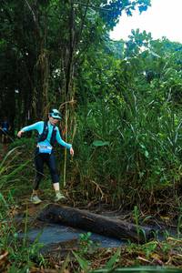 BIB: 
                            <button type="button" onclick="openModal(25148488)" class="btn btn-primary btn-sm float-right btn-popup" data-toggle="modal" data-target=".modal-high-quality">
                        <i class="fas fa-shopping-cart"></i> Add to Cart
                    </button>
                                            <button type="button" onclick="isThisMe(25148488, true)" class="btn btn-success btn-sm float-right btn-popup btn-isme hidden" data-toggle="tooltip" data-placement="bottom" title="นี่คือรูปของคุณใช่ไหม คลิกที่นี่เพื่อเอาเข้าอัลบั้ม">
                        <i class="fas fa-plus"></i> Add to album
                    </button>
                    <button type="button" onclick="isThisMe(25148488, false)" class="btn btn-warning btn-sm float-right btn-popup btn-isnotme hidden">
                        <i class="fas fa-ban"></i> Remove from album
                    </button>