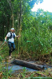 BIB: 
                            <button type="button" onclick="openModal(25150055)" class="btn btn-primary btn-sm float-right btn-popup" data-toggle="modal" data-target=".modal-high-quality">
                        <i class="fas fa-shopping-cart"></i> Add to Cart
                    </button>
                                            <button type="button" onclick="isThisMe(25150055, true)" class="btn btn-success btn-sm float-right btn-popup btn-isme hidden" data-toggle="tooltip" data-placement="bottom" title="นี่คือรูปของคุณใช่ไหม คลิกที่นี่เพื่อเอาเข้าอัลบั้ม">
                        <i class="fas fa-plus"></i> Add to album
                    </button>
                    <button type="button" onclick="isThisMe(25150055, false)" class="btn btn-warning btn-sm float-right btn-popup btn-isnotme hidden">
                        <i class="fas fa-ban"></i> Remove from album
                    </button>