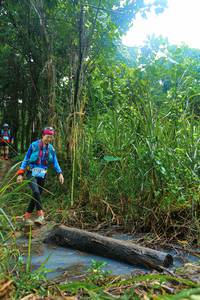 BIB: 
                            <button type="button" onclick="openModal(25151654)" class="btn btn-primary btn-sm float-right btn-popup" data-toggle="modal" data-target=".modal-high-quality">
                        <i class="fas fa-shopping-cart"></i> Add to Cart
                    </button>
                                            <button type="button" onclick="isThisMe(25151654, true)" class="btn btn-success btn-sm float-right btn-popup btn-isme hidden" data-toggle="tooltip" data-placement="bottom" title="นี่คือรูปของคุณใช่ไหม คลิกที่นี่เพื่อเอาเข้าอัลบั้ม">
                        <i class="fas fa-plus"></i> Add to album
                    </button>
                    <button type="button" onclick="isThisMe(25151654, false)" class="btn btn-warning btn-sm float-right btn-popup btn-isnotme hidden">
                        <i class="fas fa-ban"></i> Remove from album
                    </button>