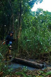 BIB: 
                            <button type="button" onclick="openModal(25152704)" class="btn btn-primary btn-sm float-right btn-popup" data-toggle="modal" data-target=".modal-high-quality">
                        <i class="fas fa-shopping-cart"></i> Add to Cart
                    </button>
                                            <button type="button" onclick="isThisMe(25152704, true)" class="btn btn-success btn-sm float-right btn-popup btn-isme hidden" data-toggle="tooltip" data-placement="bottom" title="นี่คือรูปของคุณใช่ไหม คลิกที่นี่เพื่อเอาเข้าอัลบั้ม">
                        <i class="fas fa-plus"></i> Add to album
                    </button>
                    <button type="button" onclick="isThisMe(25152704, false)" class="btn btn-warning btn-sm float-right btn-popup btn-isnotme hidden">
                        <i class="fas fa-ban"></i> Remove from album
                    </button>