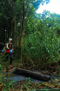 BIB: 
                            <button type="button" onclick="openModal(25149055)" class="btn btn-primary btn-sm float-right btn-popup" data-toggle="modal" data-target=".modal-high-quality">
                        <i class="fas fa-shopping-cart"></i> Add to Cart
                    </button>
                                            <button type="button" onclick="isThisMe(25149055, true)" class="btn btn-success btn-sm float-right btn-popup btn-isme hidden" data-toggle="tooltip" data-placement="bottom" title="นี่คือรูปของคุณใช่ไหม คลิกที่นี่เพื่อเอาเข้าอัลบั้ม">
                        <i class="fas fa-plus"></i> Add to album
                    </button>
                    <button type="button" onclick="isThisMe(25149055, false)" class="btn btn-warning btn-sm float-right btn-popup btn-isnotme hidden">
                        <i class="fas fa-ban"></i> Remove from album
                    </button>