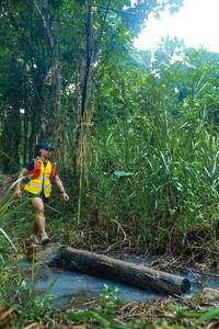 BIB: 
                            <button type="button" onclick="openModal(25152772)" class="btn btn-primary btn-sm float-right btn-popup" data-toggle="modal" data-target=".modal-high-quality">
                        <i class="fas fa-shopping-cart"></i> Add to Cart
                    </button>
                                            <button type="button" onclick="isThisMe(25152772, true)" class="btn btn-success btn-sm float-right btn-popup btn-isme hidden" data-toggle="tooltip" data-placement="bottom" title="นี่คือรูปของคุณใช่ไหม คลิกที่นี่เพื่อเอาเข้าอัลบั้ม">
                        <i class="fas fa-plus"></i> Add to album
                    </button>
                    <button type="button" onclick="isThisMe(25152772, false)" class="btn btn-warning btn-sm float-right btn-popup btn-isnotme hidden">
                        <i class="fas fa-ban"></i> Remove from album
                    </button>