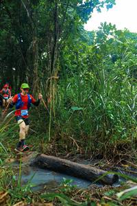 BIB: 
                            <button type="button" onclick="openModal(25152320)" class="btn btn-primary btn-sm float-right btn-popup" data-toggle="modal" data-target=".modal-high-quality">
                        <i class="fas fa-shopping-cart"></i> Add to Cart
                    </button>
                                            <button type="button" onclick="isThisMe(25152320, true)" class="btn btn-success btn-sm float-right btn-popup btn-isme hidden" data-toggle="tooltip" data-placement="bottom" title="นี่คือรูปของคุณใช่ไหม คลิกที่นี่เพื่อเอาเข้าอัลบั้ม">
                        <i class="fas fa-plus"></i> Add to album
                    </button>
                    <button type="button" onclick="isThisMe(25152320, false)" class="btn btn-warning btn-sm float-right btn-popup btn-isnotme hidden">
                        <i class="fas fa-ban"></i> Remove from album
                    </button>