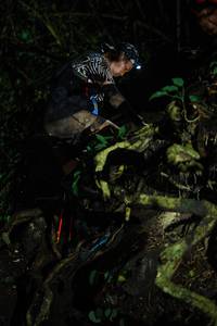 BIB: 
                            <button type="button" onclick="openModal(25164411)" class="btn btn-primary btn-sm float-right btn-popup" data-toggle="modal" data-target=".modal-high-quality">
                        <i class="fas fa-shopping-cart"></i> Add to Cart
                    </button>
                                            <button type="button" onclick="isThisMe(25164411, true)" class="btn btn-success btn-sm float-right btn-popup btn-isme hidden" data-toggle="tooltip" data-placement="bottom" title="นี่คือรูปของคุณใช่ไหม คลิกที่นี่เพื่อเอาเข้าอัลบั้ม">
                        <i class="fas fa-plus"></i> Add to album
                    </button>
                    <button type="button" onclick="isThisMe(25164411, false)" class="btn btn-warning btn-sm float-right btn-popup btn-isnotme hidden">
                        <i class="fas fa-ban"></i> Remove from album
                    </button>