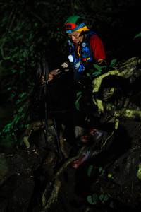 BIB: 
                            <button type="button" onclick="openModal(25165310)" class="btn btn-primary btn-sm float-right btn-popup" data-toggle="modal" data-target=".modal-high-quality">
                        <i class="fas fa-shopping-cart"></i> Add to Cart
                    </button>
                                            <button type="button" onclick="isThisMe(25165310, true)" class="btn btn-success btn-sm float-right btn-popup btn-isme hidden" data-toggle="tooltip" data-placement="bottom" title="นี่คือรูปของคุณใช่ไหม คลิกที่นี่เพื่อเอาเข้าอัลบั้ม">
                        <i class="fas fa-plus"></i> Add to album
                    </button>
                    <button type="button" onclick="isThisMe(25165310, false)" class="btn btn-warning btn-sm float-right btn-popup btn-isnotme hidden">
                        <i class="fas fa-ban"></i> Remove from album
                    </button>