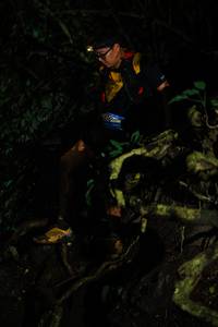 BIB: 
                            <button type="button" onclick="openModal(25163850)" class="btn btn-primary btn-sm float-right btn-popup" data-toggle="modal" data-target=".modal-high-quality">
                        <i class="fas fa-shopping-cart"></i> Add to Cart
                    </button>
                                            <button type="button" onclick="isThisMe(25163850, true)" class="btn btn-success btn-sm float-right btn-popup btn-isme hidden" data-toggle="tooltip" data-placement="bottom" title="นี่คือรูปของคุณใช่ไหม คลิกที่นี่เพื่อเอาเข้าอัลบั้ม">
                        <i class="fas fa-plus"></i> Add to album
                    </button>
                    <button type="button" onclick="isThisMe(25163850, false)" class="btn btn-warning btn-sm float-right btn-popup btn-isnotme hidden">
                        <i class="fas fa-ban"></i> Remove from album
                    </button>