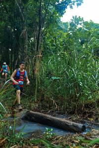 BIB: 
                            <button type="button" onclick="openModal(25152680)" class="btn btn-primary btn-sm float-right btn-popup" data-toggle="modal" data-target=".modal-high-quality">
                        <i class="fas fa-shopping-cart"></i> Add to Cart
                    </button>
                                            <button type="button" onclick="isThisMe(25152680, true)" class="btn btn-success btn-sm float-right btn-popup btn-isme hidden" data-toggle="tooltip" data-placement="bottom" title="นี่คือรูปของคุณใช่ไหม คลิกที่นี่เพื่อเอาเข้าอัลบั้ม">
                        <i class="fas fa-plus"></i> Add to album
                    </button>
                    <button type="button" onclick="isThisMe(25152680, false)" class="btn btn-warning btn-sm float-right btn-popup btn-isnotme hidden">
                        <i class="fas fa-ban"></i> Remove from album
                    </button>