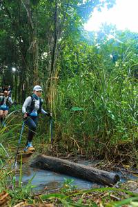 BIB: 
                            <button type="button" onclick="openModal(25150987)" class="btn btn-primary btn-sm float-right btn-popup" data-toggle="modal" data-target=".modal-high-quality">
                        <i class="fas fa-shopping-cart"></i> Add to Cart
                    </button>
                                            <button type="button" onclick="isThisMe(25150987, true)" class="btn btn-success btn-sm float-right btn-popup btn-isme hidden" data-toggle="tooltip" data-placement="bottom" title="นี่คือรูปของคุณใช่ไหม คลิกที่นี่เพื่อเอาเข้าอัลบั้ม">
                        <i class="fas fa-plus"></i> Add to album
                    </button>
                    <button type="button" onclick="isThisMe(25150987, false)" class="btn btn-warning btn-sm float-right btn-popup btn-isnotme hidden">
                        <i class="fas fa-ban"></i> Remove from album
                    </button>