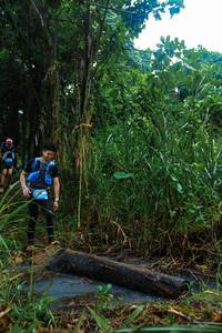 BIB: 
                            <button type="button" onclick="openModal(25148647)" class="btn btn-primary btn-sm float-right btn-popup" data-toggle="modal" data-target=".modal-high-quality">
                        <i class="fas fa-shopping-cart"></i> Add to Cart
                    </button>
                                            <button type="button" onclick="isThisMe(25148647, true)" class="btn btn-success btn-sm float-right btn-popup btn-isme hidden" data-toggle="tooltip" data-placement="bottom" title="นี่คือรูปของคุณใช่ไหม คลิกที่นี่เพื่อเอาเข้าอัลบั้ม">
                        <i class="fas fa-plus"></i> Add to album
                    </button>
                    <button type="button" onclick="isThisMe(25148647, false)" class="btn btn-warning btn-sm float-right btn-popup btn-isnotme hidden">
                        <i class="fas fa-ban"></i> Remove from album
                    </button>