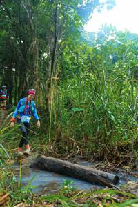 BIB: 
                            <button type="button" onclick="openModal(25151648)" class="btn btn-primary btn-sm float-right btn-popup" data-toggle="modal" data-target=".modal-high-quality">
                        <i class="fas fa-shopping-cart"></i> Add to Cart
                    </button>
                                            <button type="button" onclick="isThisMe(25151648, true)" class="btn btn-success btn-sm float-right btn-popup btn-isme hidden" data-toggle="tooltip" data-placement="bottom" title="นี่คือรูปของคุณใช่ไหม คลิกที่นี่เพื่อเอาเข้าอัลบั้ม">
                        <i class="fas fa-plus"></i> Add to album
                    </button>
                    <button type="button" onclick="isThisMe(25151648, false)" class="btn btn-warning btn-sm float-right btn-popup btn-isnotme hidden">
                        <i class="fas fa-ban"></i> Remove from album
                    </button>