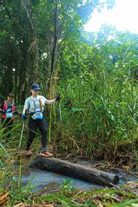 BIB: 
                            <button type="button" onclick="openModal(25151596)" class="btn btn-primary btn-sm float-right btn-popup" data-toggle="modal" data-target=".modal-high-quality">
                        <i class="fas fa-shopping-cart"></i> Add to Cart
                    </button>
                                            <button type="button" onclick="isThisMe(25151596, true)" class="btn btn-success btn-sm float-right btn-popup btn-isme hidden" data-toggle="tooltip" data-placement="bottom" title="นี่คือรูปของคุณใช่ไหม คลิกที่นี่เพื่อเอาเข้าอัลบั้ม">
                        <i class="fas fa-plus"></i> Add to album
                    </button>
                    <button type="button" onclick="isThisMe(25151596, false)" class="btn btn-warning btn-sm float-right btn-popup btn-isnotme hidden">
                        <i class="fas fa-ban"></i> Remove from album
                    </button>