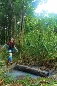 BIB: 
                            <button type="button" onclick="openModal(25151350)" class="btn btn-primary btn-sm float-right btn-popup" data-toggle="modal" data-target=".modal-high-quality">
                        <i class="fas fa-shopping-cart"></i> Add to Cart
                    </button>
                                            <button type="button" onclick="isThisMe(25151350, true)" class="btn btn-success btn-sm float-right btn-popup btn-isme hidden" data-toggle="tooltip" data-placement="bottom" title="นี่คือรูปของคุณใช่ไหม คลิกที่นี่เพื่อเอาเข้าอัลบั้ม">
                        <i class="fas fa-plus"></i> Add to album
                    </button>
                    <button type="button" onclick="isThisMe(25151350, false)" class="btn btn-warning btn-sm float-right btn-popup btn-isnotme hidden">
                        <i class="fas fa-ban"></i> Remove from album
                    </button>