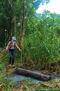 BIB: 
                            <button type="button" onclick="openModal(25150204)" class="btn btn-primary btn-sm float-right btn-popup" data-toggle="modal" data-target=".modal-high-quality">
                        <i class="fas fa-shopping-cart"></i> Add to Cart
                    </button>
                                            <button type="button" onclick="isThisMe(25150204, true)" class="btn btn-success btn-sm float-right btn-popup btn-isme hidden" data-toggle="tooltip" data-placement="bottom" title="นี่คือรูปของคุณใช่ไหม คลิกที่นี่เพื่อเอาเข้าอัลบั้ม">
                        <i class="fas fa-plus"></i> Add to album
                    </button>
                    <button type="button" onclick="isThisMe(25150204, false)" class="btn btn-warning btn-sm float-right btn-popup btn-isnotme hidden">
                        <i class="fas fa-ban"></i> Remove from album
                    </button>