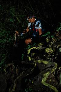 BIB: 
                            <button type="button" onclick="openModal(25165563)" class="btn btn-primary btn-sm float-right btn-popup" data-toggle="modal" data-target=".modal-high-quality">
                        <i class="fas fa-shopping-cart"></i> Add to Cart
                    </button>
                                            <button type="button" onclick="isThisMe(25165563, true)" class="btn btn-success btn-sm float-right btn-popup btn-isme hidden" data-toggle="tooltip" data-placement="bottom" title="นี่คือรูปของคุณใช่ไหม คลิกที่นี่เพื่อเอาเข้าอัลบั้ม">
                        <i class="fas fa-plus"></i> Add to album
                    </button>
                    <button type="button" onclick="isThisMe(25165563, false)" class="btn btn-warning btn-sm float-right btn-popup btn-isnotme hidden">
                        <i class="fas fa-ban"></i> Remove from album
                    </button>