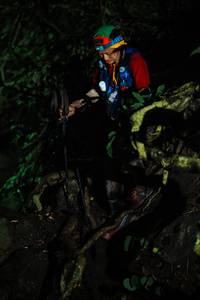 BIB: 
                            <button type="button" onclick="openModal(25165306)" class="btn btn-primary btn-sm float-right btn-popup" data-toggle="modal" data-target=".modal-high-quality">
                        <i class="fas fa-shopping-cart"></i> Add to Cart
                    </button>
                                            <button type="button" onclick="isThisMe(25165306, true)" class="btn btn-success btn-sm float-right btn-popup btn-isme hidden" data-toggle="tooltip" data-placement="bottom" title="นี่คือรูปของคุณใช่ไหม คลิกที่นี่เพื่อเอาเข้าอัลบั้ม">
                        <i class="fas fa-plus"></i> Add to album
                    </button>
                    <button type="button" onclick="isThisMe(25165306, false)" class="btn btn-warning btn-sm float-right btn-popup btn-isnotme hidden">
                        <i class="fas fa-ban"></i> Remove from album
                    </button>