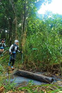 BIB: 
                            <button type="button" onclick="openModal(25150983)" class="btn btn-primary btn-sm float-right btn-popup" data-toggle="modal" data-target=".modal-high-quality">
                        <i class="fas fa-shopping-cart"></i> Add to Cart
                    </button>
                                            <button type="button" onclick="isThisMe(25150983, true)" class="btn btn-success btn-sm float-right btn-popup btn-isme hidden" data-toggle="tooltip" data-placement="bottom" title="นี่คือรูปของคุณใช่ไหม คลิกที่นี่เพื่อเอาเข้าอัลบั้ม">
                        <i class="fas fa-plus"></i> Add to album
                    </button>
                    <button type="button" onclick="isThisMe(25150983, false)" class="btn btn-warning btn-sm float-right btn-popup btn-isnotme hidden">
                        <i class="fas fa-ban"></i> Remove from album
                    </button>