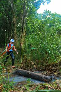 BIB: 
                            <button type="button" onclick="openModal(25150193)" class="btn btn-primary btn-sm float-right btn-popup" data-toggle="modal" data-target=".modal-high-quality">
                        <i class="fas fa-shopping-cart"></i> Add to Cart
                    </button>
                                            <button type="button" onclick="isThisMe(25150193, true)" class="btn btn-success btn-sm float-right btn-popup btn-isme hidden" data-toggle="tooltip" data-placement="bottom" title="นี่คือรูปของคุณใช่ไหม คลิกที่นี่เพื่อเอาเข้าอัลบั้ม">
                        <i class="fas fa-plus"></i> Add to album
                    </button>
                    <button type="button" onclick="isThisMe(25150193, false)" class="btn btn-warning btn-sm float-right btn-popup btn-isnotme hidden">
                        <i class="fas fa-ban"></i> Remove from album
                    </button>