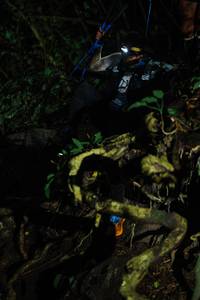 BIB: 
                            <button type="button" onclick="openModal(25164148)" class="btn btn-primary btn-sm float-right btn-popup" data-toggle="modal" data-target=".modal-high-quality">
                        <i class="fas fa-shopping-cart"></i> Add to Cart
                    </button>
                                            <button type="button" onclick="isThisMe(25164148, true)" class="btn btn-success btn-sm float-right btn-popup btn-isme hidden" data-toggle="tooltip" data-placement="bottom" title="นี่คือรูปของคุณใช่ไหม คลิกที่นี่เพื่อเอาเข้าอัลบั้ม">
                        <i class="fas fa-plus"></i> Add to album
                    </button>
                    <button type="button" onclick="isThisMe(25164148, false)" class="btn btn-warning btn-sm float-right btn-popup btn-isnotme hidden">
                        <i class="fas fa-ban"></i> Remove from album
                    </button>