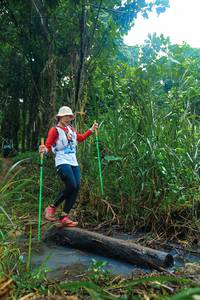 BIB: 
                            <button type="button" onclick="openModal(25152121)" class="btn btn-primary btn-sm float-right btn-popup" data-toggle="modal" data-target=".modal-high-quality">
                        <i class="fas fa-shopping-cart"></i> Add to Cart
                    </button>
                                            <button type="button" onclick="isThisMe(25152121, true)" class="btn btn-success btn-sm float-right btn-popup btn-isme hidden" data-toggle="tooltip" data-placement="bottom" title="นี่คือรูปของคุณใช่ไหม คลิกที่นี่เพื่อเอาเข้าอัลบั้ม">
                        <i class="fas fa-plus"></i> Add to album
                    </button>
                    <button type="button" onclick="isThisMe(25152121, false)" class="btn btn-warning btn-sm float-right btn-popup btn-isnotme hidden">
                        <i class="fas fa-ban"></i> Remove from album
                    </button>