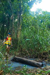 BIB: 
                            <button type="button" onclick="openModal(25152769)" class="btn btn-primary btn-sm float-right btn-popup" data-toggle="modal" data-target=".modal-high-quality">
                        <i class="fas fa-shopping-cart"></i> Add to Cart
                    </button>
                                            <button type="button" onclick="isThisMe(25152769, true)" class="btn btn-success btn-sm float-right btn-popup btn-isme hidden" data-toggle="tooltip" data-placement="bottom" title="นี่คือรูปของคุณใช่ไหม คลิกที่นี่เพื่อเอาเข้าอัลบั้ม">
                        <i class="fas fa-plus"></i> Add to album
                    </button>
                    <button type="button" onclick="isThisMe(25152769, false)" class="btn btn-warning btn-sm float-right btn-popup btn-isnotme hidden">
                        <i class="fas fa-ban"></i> Remove from album
                    </button>