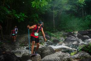 BIB: 
                            <button type="button" onclick="openModal(25055756)" class="btn btn-primary btn-sm float-right btn-popup" data-toggle="modal" data-target=".modal-high-quality">
                        <i class="fas fa-shopping-cart"></i> Add to Cart
                    </button>
                                            <button type="button" onclick="isThisMe(25055756, true)" class="btn btn-success btn-sm float-right btn-popup btn-isme hidden" data-toggle="tooltip" data-placement="bottom" title="นี่คือรูปของคุณใช่ไหม คลิกที่นี่เพื่อเอาเข้าอัลบั้ม">
                        <i class="fas fa-plus"></i> Add to album
                    </button>
                    <button type="button" onclick="isThisMe(25055756, false)" class="btn btn-warning btn-sm float-right btn-popup btn-isnotme hidden">
                        <i class="fas fa-ban"></i> Remove from album
                    </button>