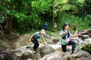 BIB: 
                            <button type="button" onclick="openModal(25071097)" class="btn btn-primary btn-sm float-right btn-popup" data-toggle="modal" data-target=".modal-high-quality">
                        <i class="fas fa-shopping-cart"></i> Add to Cart
                    </button>
                                            <button type="button" onclick="isThisMe(25071097, true)" class="btn btn-success btn-sm float-right btn-popup btn-isme hidden" data-toggle="tooltip" data-placement="bottom" title="นี่คือรูปของคุณใช่ไหม คลิกที่นี่เพื่อเอาเข้าอัลบั้ม">
                        <i class="fas fa-plus"></i> Add to album
                    </button>
                    <button type="button" onclick="isThisMe(25071097, false)" class="btn btn-warning btn-sm float-right btn-popup btn-isnotme hidden">
                        <i class="fas fa-ban"></i> Remove from album
                    </button>