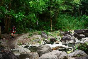 BIB: 
                            <button type="button" onclick="openModal(25080673)" class="btn btn-primary btn-sm float-right btn-popup" data-toggle="modal" data-target=".modal-high-quality">
                        <i class="fas fa-shopping-cart"></i> Add to Cart
                    </button>
                                            <button type="button" onclick="isThisMe(25080673, true)" class="btn btn-success btn-sm float-right btn-popup btn-isme hidden" data-toggle="tooltip" data-placement="bottom" title="นี่คือรูปของคุณใช่ไหม คลิกที่นี่เพื่อเอาเข้าอัลบั้ม">
                        <i class="fas fa-plus"></i> Add to album
                    </button>
                    <button type="button" onclick="isThisMe(25080673, false)" class="btn btn-warning btn-sm float-right btn-popup btn-isnotme hidden">
                        <i class="fas fa-ban"></i> Remove from album
                    </button>