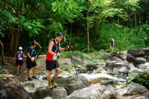 BIB: 
                            <button type="button" onclick="openModal(25069182)" class="btn btn-primary btn-sm float-right btn-popup" data-toggle="modal" data-target=".modal-high-quality">
                        <i class="fas fa-shopping-cart"></i> Add to Cart
                    </button>
                                            <button type="button" onclick="isThisMe(25069182, true)" class="btn btn-success btn-sm float-right btn-popup btn-isme hidden" data-toggle="tooltip" data-placement="bottom" title="นี่คือรูปของคุณใช่ไหม คลิกที่นี่เพื่อเอาเข้าอัลบั้ม">
                        <i class="fas fa-plus"></i> Add to album
                    </button>
                    <button type="button" onclick="isThisMe(25069182, false)" class="btn btn-warning btn-sm float-right btn-popup btn-isnotme hidden">
                        <i class="fas fa-ban"></i> Remove from album
                    </button>