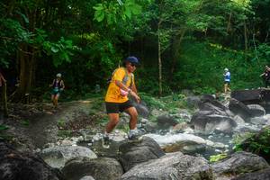 BIB: 
                            <button type="button" onclick="openModal(25058497)" class="btn btn-primary btn-sm float-right btn-popup" data-toggle="modal" data-target=".modal-high-quality">
                        <i class="fas fa-shopping-cart"></i> Add to Cart
                    </button>
                                            <button type="button" onclick="isThisMe(25058497, true)" class="btn btn-success btn-sm float-right btn-popup btn-isme hidden" data-toggle="tooltip" data-placement="bottom" title="นี่คือรูปของคุณใช่ไหม คลิกที่นี่เพื่อเอาเข้าอัลบั้ม">
                        <i class="fas fa-plus"></i> Add to album
                    </button>
                    <button type="button" onclick="isThisMe(25058497, false)" class="btn btn-warning btn-sm float-right btn-popup btn-isnotme hidden">
                        <i class="fas fa-ban"></i> Remove from album
                    </button>