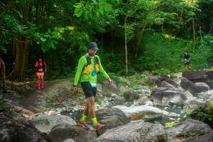 BIB: 
                            <button type="button" onclick="openModal(25058950)" class="btn btn-primary btn-sm float-right btn-popup" data-toggle="modal" data-target=".modal-high-quality">
                        <i class="fas fa-shopping-cart"></i> Add to Cart
                    </button>
                                            <button type="button" onclick="isThisMe(25058950, true)" class="btn btn-success btn-sm float-right btn-popup btn-isme hidden" data-toggle="tooltip" data-placement="bottom" title="นี่คือรูปของคุณใช่ไหม คลิกที่นี่เพื่อเอาเข้าอัลบั้ม">
                        <i class="fas fa-plus"></i> Add to album
                    </button>
                    <button type="button" onclick="isThisMe(25058950, false)" class="btn btn-warning btn-sm float-right btn-popup btn-isnotme hidden">
                        <i class="fas fa-ban"></i> Remove from album
                    </button>