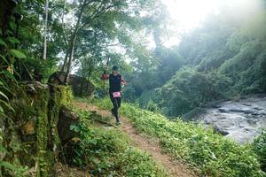 BIB: 
                            <button type="button" onclick="openModal(25202831)" class="btn btn-primary btn-sm float-right btn-popup" data-toggle="modal" data-target=".modal-high-quality">
                        <i class="fas fa-shopping-cart"></i> Add to Cart
                    </button>
                                            <button type="button" onclick="isThisMe(25202831, true)" class="btn btn-success btn-sm float-right btn-popup btn-isme hidden" data-toggle="tooltip" data-placement="bottom" title="นี่คือรูปของคุณใช่ไหม คลิกที่นี่เพื่อเอาเข้าอัลบั้ม">
                        <i class="fas fa-plus"></i> Add to album
                    </button>
                    <button type="button" onclick="isThisMe(25202831, false)" class="btn btn-warning btn-sm float-right btn-popup btn-isnotme hidden">
                        <i class="fas fa-ban"></i> Remove from album
                    </button>