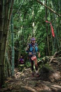 BIB: 
                            <button type="button" onclick="openModal(25106697)" class="btn btn-primary btn-sm float-right btn-popup" data-toggle="modal" data-target=".modal-high-quality">
                        <i class="fas fa-shopping-cart"></i> Add to Cart
                    </button>
                                            <button type="button" onclick="isThisMe(25106697, true)" class="btn btn-success btn-sm float-right btn-popup btn-isme hidden" data-toggle="tooltip" data-placement="bottom" title="นี่คือรูปของคุณใช่ไหม คลิกที่นี่เพื่อเอาเข้าอัลบั้ม">
                        <i class="fas fa-plus"></i> Add to album
                    </button>
                    <button type="button" onclick="isThisMe(25106697, false)" class="btn btn-warning btn-sm float-right btn-popup btn-isnotme hidden">
                        <i class="fas fa-ban"></i> Remove from album
                    </button>