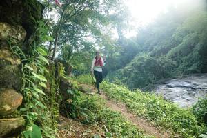 BIB: 
                            <button type="button" onclick="openModal(25202954)" class="btn btn-primary btn-sm float-right btn-popup" data-toggle="modal" data-target=".modal-high-quality">
                        <i class="fas fa-shopping-cart"></i> Add to Cart
                    </button>
                                            <button type="button" onclick="isThisMe(25202954, true)" class="btn btn-success btn-sm float-right btn-popup btn-isme hidden" data-toggle="tooltip" data-placement="bottom" title="นี่คือรูปของคุณใช่ไหม คลิกที่นี่เพื่อเอาเข้าอัลบั้ม">
                        <i class="fas fa-plus"></i> Add to album
                    </button>
                    <button type="button" onclick="isThisMe(25202954, false)" class="btn btn-warning btn-sm float-right btn-popup btn-isnotme hidden">
                        <i class="fas fa-ban"></i> Remove from album
                    </button>