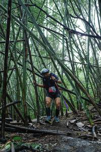 BIB: 
                            <button type="button" onclick="openModal(25108664)" class="btn btn-primary btn-sm float-right btn-popup" data-toggle="modal" data-target=".modal-high-quality">
                        <i class="fas fa-shopping-cart"></i> Add to Cart
                    </button>
                                            <button type="button" onclick="isThisMe(25108664, true)" class="btn btn-success btn-sm float-right btn-popup btn-isme hidden" data-toggle="tooltip" data-placement="bottom" title="นี่คือรูปของคุณใช่ไหม คลิกที่นี่เพื่อเอาเข้าอัลบั้ม">
                        <i class="fas fa-plus"></i> Add to album
                    </button>
                    <button type="button" onclick="isThisMe(25108664, false)" class="btn btn-warning btn-sm float-right btn-popup btn-isnotme hidden">
                        <i class="fas fa-ban"></i> Remove from album
                    </button>