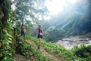 BIB: 
                            <button type="button" onclick="openModal(25191360)" class="btn btn-primary btn-sm float-right btn-popup" data-toggle="modal" data-target=".modal-high-quality">
                        <i class="fas fa-shopping-cart"></i> Add to Cart
                    </button>
                                            <button type="button" onclick="isThisMe(25191360, true)" class="btn btn-success btn-sm float-right btn-popup btn-isme hidden" data-toggle="tooltip" data-placement="bottom" title="นี่คือรูปของคุณใช่ไหม คลิกที่นี่เพื่อเอาเข้าอัลบั้ม">
                        <i class="fas fa-plus"></i> Add to album
                    </button>
                    <button type="button" onclick="isThisMe(25191360, false)" class="btn btn-warning btn-sm float-right btn-popup btn-isnotme hidden">
                        <i class="fas fa-ban"></i> Remove from album
                    </button>