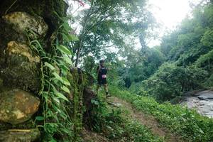 BIB: 
                            <button type="button" onclick="openModal(25210613)" class="btn btn-primary btn-sm float-right btn-popup" data-toggle="modal" data-target=".modal-high-quality">
                        <i class="fas fa-shopping-cart"></i> Add to Cart
                    </button>
                                            <button type="button" onclick="isThisMe(25210613, true)" class="btn btn-success btn-sm float-right btn-popup btn-isme hidden" data-toggle="tooltip" data-placement="bottom" title="นี่คือรูปของคุณใช่ไหม คลิกที่นี่เพื่อเอาเข้าอัลบั้ม">
                        <i class="fas fa-plus"></i> Add to album
                    </button>
                    <button type="button" onclick="isThisMe(25210613, false)" class="btn btn-warning btn-sm float-right btn-popup btn-isnotme hidden">
                        <i class="fas fa-ban"></i> Remove from album
                    </button>