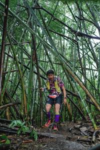 BIB: 
                            <button type="button" onclick="openModal(25109949)" class="btn btn-primary btn-sm float-right btn-popup" data-toggle="modal" data-target=".modal-high-quality">
                        <i class="fas fa-shopping-cart"></i> Add to Cart
                    </button>
                                            <button type="button" onclick="isThisMe(25109949, true)" class="btn btn-success btn-sm float-right btn-popup btn-isme hidden" data-toggle="tooltip" data-placement="bottom" title="นี่คือรูปของคุณใช่ไหม คลิกที่นี่เพื่อเอาเข้าอัลบั้ม">
                        <i class="fas fa-plus"></i> Add to album
                    </button>
                    <button type="button" onclick="isThisMe(25109949, false)" class="btn btn-warning btn-sm float-right btn-popup btn-isnotme hidden">
                        <i class="fas fa-ban"></i> Remove from album
                    </button>