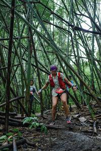 BIB: 
                            <button type="button" onclick="openModal(25109449)" class="btn btn-primary btn-sm float-right btn-popup" data-toggle="modal" data-target=".modal-high-quality">
                        <i class="fas fa-shopping-cart"></i> Add to Cart
                    </button>
                                            <button type="button" onclick="isThisMe(25109449, true)" class="btn btn-success btn-sm float-right btn-popup btn-isme hidden" data-toggle="tooltip" data-placement="bottom" title="นี่คือรูปของคุณใช่ไหม คลิกที่นี่เพื่อเอาเข้าอัลบั้ม">
                        <i class="fas fa-plus"></i> Add to album
                    </button>
                    <button type="button" onclick="isThisMe(25109449, false)" class="btn btn-warning btn-sm float-right btn-popup btn-isnotme hidden">
                        <i class="fas fa-ban"></i> Remove from album
                    </button>