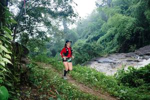 BIB: 
                            <button type="button" onclick="openModal(25185330)" class="btn btn-primary btn-sm float-right btn-popup" data-toggle="modal" data-target=".modal-high-quality">
                        <i class="fas fa-shopping-cart"></i> Add to Cart
                    </button>
                                            <button type="button" onclick="isThisMe(25185330, true)" class="btn btn-success btn-sm float-right btn-popup btn-isme hidden" data-toggle="tooltip" data-placement="bottom" title="นี่คือรูปของคุณใช่ไหม คลิกที่นี่เพื่อเอาเข้าอัลบั้ม">
                        <i class="fas fa-plus"></i> Add to album
                    </button>
                    <button type="button" onclick="isThisMe(25185330, false)" class="btn btn-warning btn-sm float-right btn-popup btn-isnotme hidden">
                        <i class="fas fa-ban"></i> Remove from album
                    </button>