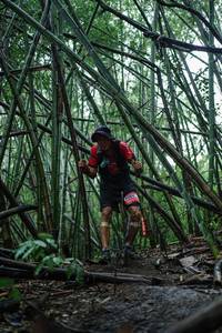 BIB: 
                            <button type="button" onclick="openModal(25109667)" class="btn btn-primary btn-sm float-right btn-popup" data-toggle="modal" data-target=".modal-high-quality">
                        <i class="fas fa-shopping-cart"></i> Add to Cart
                    </button>
                                            <button type="button" onclick="isThisMe(25109667, true)" class="btn btn-success btn-sm float-right btn-popup btn-isme hidden" data-toggle="tooltip" data-placement="bottom" title="นี่คือรูปของคุณใช่ไหม คลิกที่นี่เพื่อเอาเข้าอัลบั้ม">
                        <i class="fas fa-plus"></i> Add to album
                    </button>
                    <button type="button" onclick="isThisMe(25109667, false)" class="btn btn-warning btn-sm float-right btn-popup btn-isnotme hidden">
                        <i class="fas fa-ban"></i> Remove from album
                    </button>