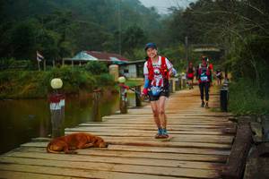 BIB: 
                            <button type="button" onclick="openModal(25158872)" class="btn btn-primary btn-sm float-right btn-popup" data-toggle="modal" data-target=".modal-high-quality">
                        <i class="fas fa-shopping-cart"></i> Add to Cart
                    </button>
                                            <button type="button" onclick="isThisMe(25158872, true)" class="btn btn-success btn-sm float-right btn-popup btn-isme hidden" data-toggle="tooltip" data-placement="bottom" title="นี่คือรูปของคุณใช่ไหม คลิกที่นี่เพื่อเอาเข้าอัลบั้ม">
                        <i class="fas fa-plus"></i> Add to album
                    </button>
                    <button type="button" onclick="isThisMe(25158872, false)" class="btn btn-warning btn-sm float-right btn-popup btn-isnotme hidden">
                        <i class="fas fa-ban"></i> Remove from album
                    </button>